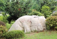 正式纳入普通高等星空体育最新优惠怎么