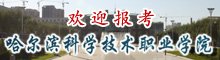 避免被站外镜像带偏